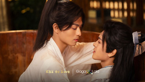 紫陌红尘 kép