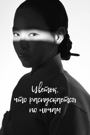 밤에 피는 꽃 poszter