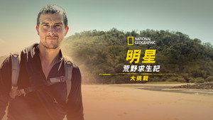 Bear Grylls - Sztárok a vadonban: A kihívás kép