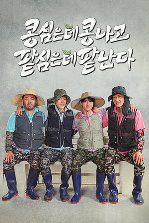 콩 심은 데 콩 나고 팥 심은 데 팥 난다 poszter