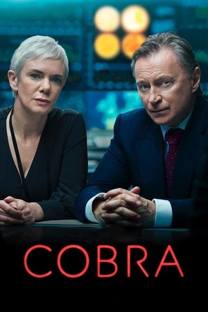COBRA - A válságstáb 1. évad (2020-01-17) poszter