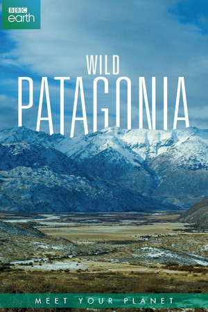 Vad vidékek - Patagónia poszter