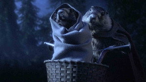 Les Marmottes kép