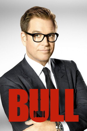 Bull poszter