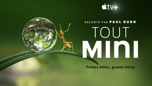 Apró világ kép