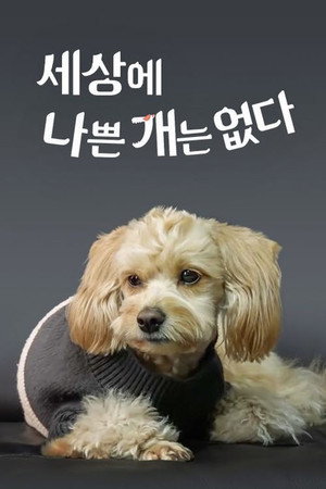세상에 나쁜 개는 없다 poszter