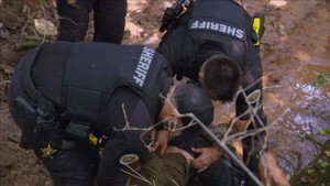 Cops 37. évad Ep.20 20. epizód