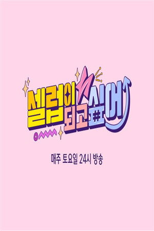 셀럽이 되고 싶어 poszter