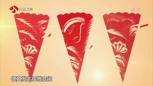 最强大脑 3. évad Ep.5 5. epizód