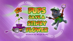 PAW Patrol 3. évad Ep.10 10. epizód