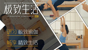 极致瑜伽 kép