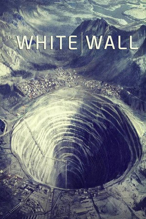 White Wall poszter