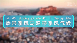 斑马百科 26. évad Ep.10 10. epizód