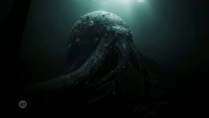 A történelem legnagyobb rejtélyei 7. évad Ep.5 5. epizód