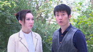 虎胆神鹰 1. évad Ep.33 33. epizód