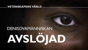 Vetenskapens värld 48. évad Ep.34 34. epizód