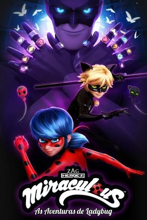 Miraculous Katicabogár és Fekete Macska kalandjai poszter