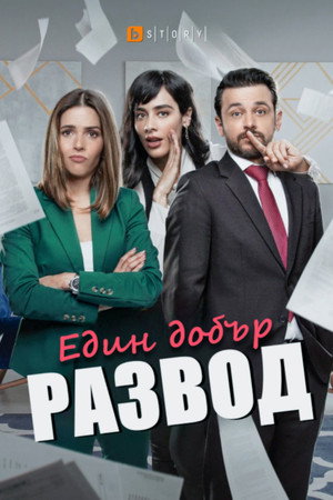 Un buen divorcio poszter