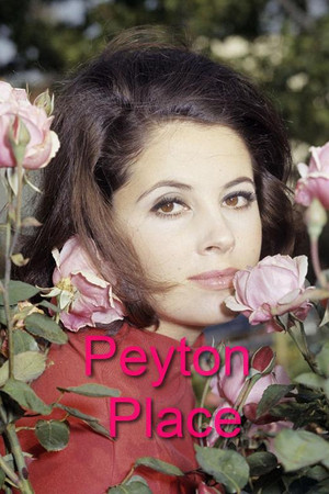 Peyton Place poszter
