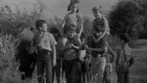 Poly 5. évad Ep.7 7. epizód