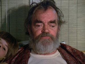 Eight Is Enough 4. évad Ep.20 20. epizód
