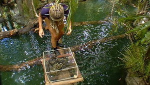 I'm a Celebrity...Get Me Out of Here! 3. évad Ep.15 15. epizód