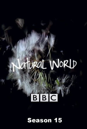 Natural World 15. évad (1996-10-06) poszter