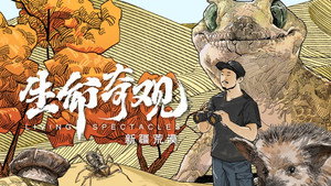 生命奇观 1. évad Ep.3 3. epizód