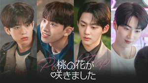 복숭아 꽃이 피었습니다 kép
