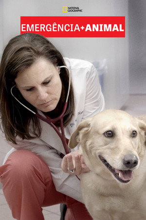 Animal ER poszter