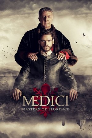 A Mediciek hatalma poszter
