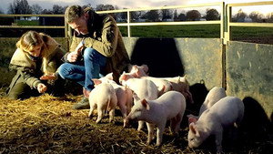 Countryfile 30. évad Ep.50 50. epizód
