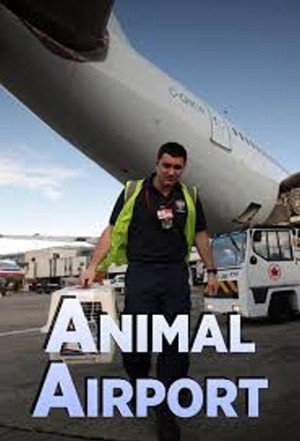 Animal Airport poszter
