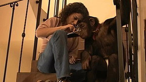 Monkey Business 7. évad Ep.11 11. epizód