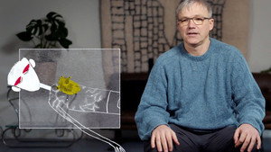 42 - Die Antwort auf fast alles 1. évad Ep.36 36. epizód