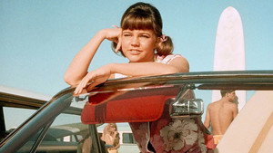 Gidget kép