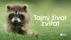 Az állatok titkos élete kép