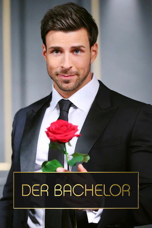 Der Bachelor 6. évad (2016-01-27) poszter