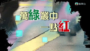 新聞掏寶 1. évad Ep.256 256. epizód