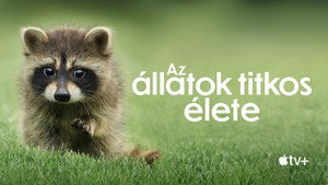 Az állatok titkos élete kép