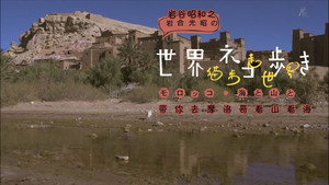 岩合光昭の世界ネコ歩き 1. évad Ep.11 11. epizód