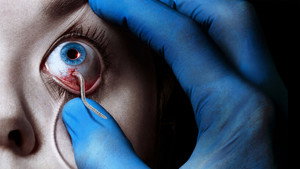 The Strain - A kór kép