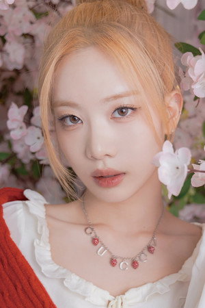 Kim Jung-eun profil kép