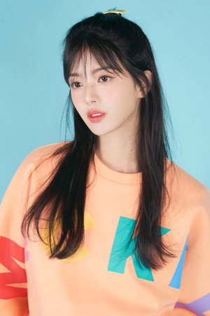 노정의 profil kép