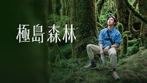 極島森林 kép