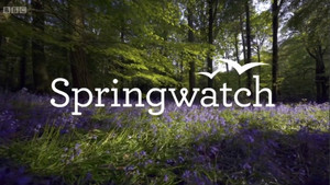 Springwatch kép
