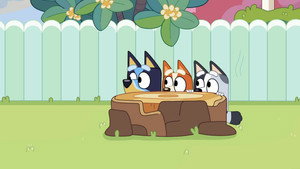 Bluey Compilations 1. évad Ep.2 2. epizód