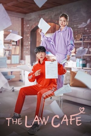 법대로 사랑하라 poszter