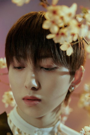 フウマ profil kép