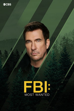 FBI: Most Wanted poszter